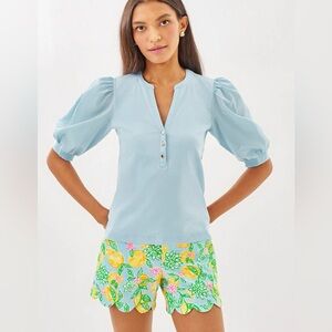 NWT large Ronson Knit Top - Bluette